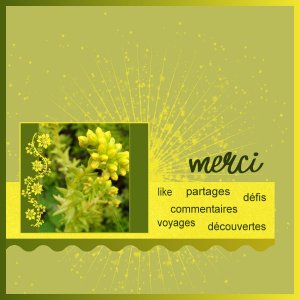 J - MERCI.jpg
