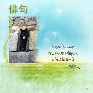 haiku minou.jpg