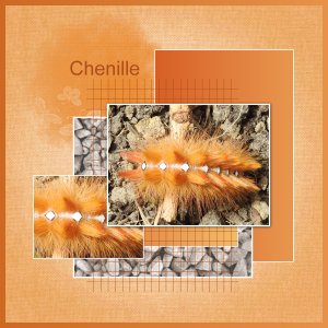 J-n235 - CHENILLE.jpg