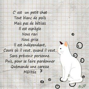 c est un petit.jpg