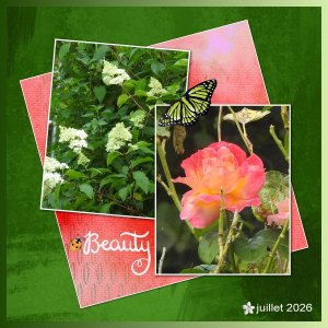 J-n236 - BEAUTY.jpg