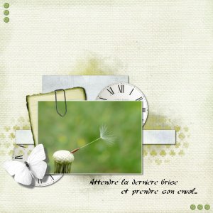 Prendre son envol .jpg