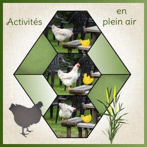 J-A44 - ACTIVITES EN PLEIN AIR.jpg