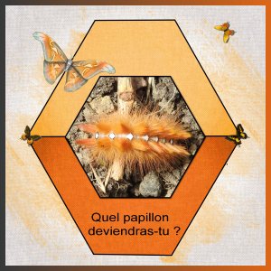 J-A45 - QUEL PAPILLON DEVIENDRAS-TU ...  .jpg