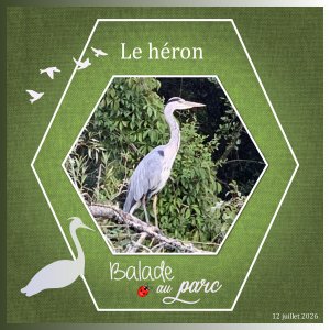 J-A46 - BALADE AU PARC.jpg
