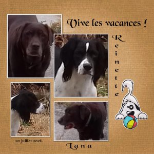 J-A - VIVE LES VACANCES.jpg