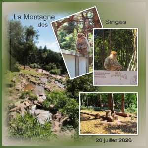 J-A49 - LA MONTAGNE DES SINGES.jpg