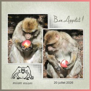 J-A50 - BON APPETIT.jpg