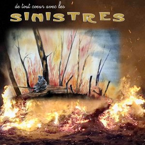 incendies.jpg