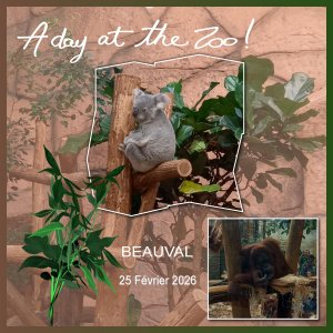 J-c203 - A DAY A THE ZOO.jpg