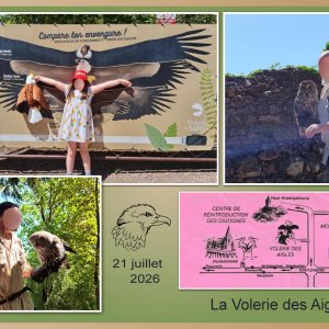 J-A52 - VOLERIE DES AIGLES.jpg
