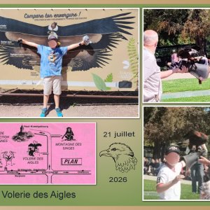 J-A53 - LA VOLERIE DES AIGLES.jpg
