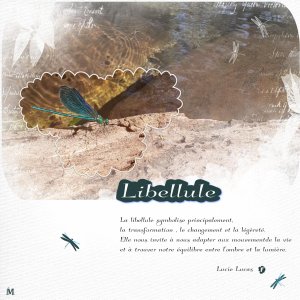 Libellule