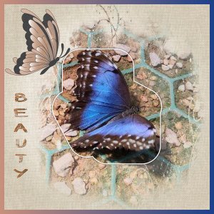 J-n240 - BEAUTY.jpg