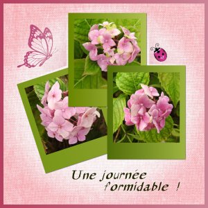 J - UNE JOURNEE FORMIDABLE.jpg