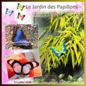 J-n241 - LE JARDIN DES PAPILLONS.jpg