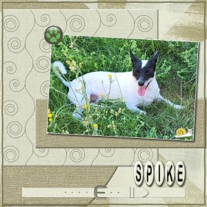 Spike aout 26.jpg