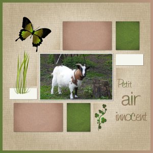 J-A56 - PETIT AIR INNOCENT.jpg
