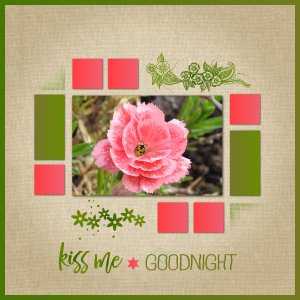 J - KISS ME GOOD NIGHT.jpg