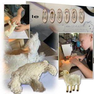 le mouton.jpg