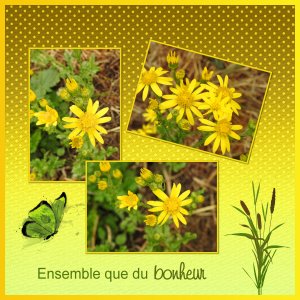 J - ENSEMBLE QUE DU BONHEUR.jpg