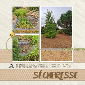 Sécheresse
