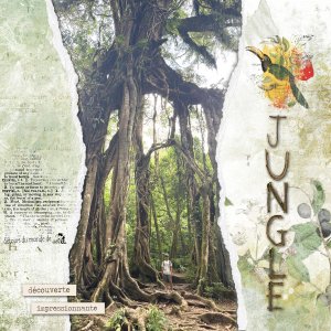 Bali - jungle