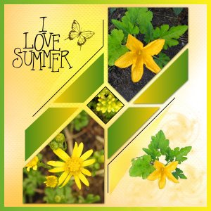 J - I LOVE SUMMER.jpg
