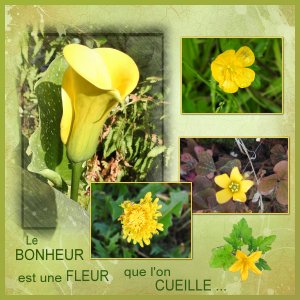 J - LE BONHEUR EST ...   .jpg