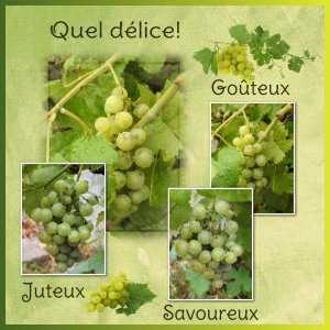 J-n247 - QUEL DELICE.jpg