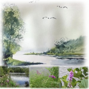 au fil de l'eau