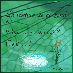 J-c208 - LA TEXTURE DE CE FOND EST ...   .gif