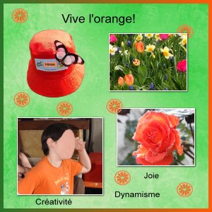 J-c212 - VIVE L'ORANGE.jpg