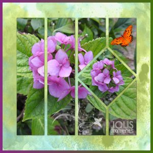 J-n250 - JOLIS MOMENTS.jpg
