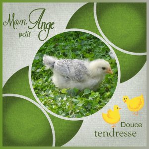 J-A64 - MON PETIT ANGE.jpg
