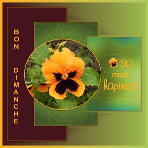 J - BON DIMANCHE.jpg