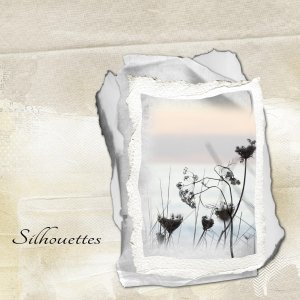 SIlouette.jpg