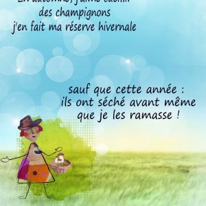 MES CARTES CHAMPIGNONS.jpg