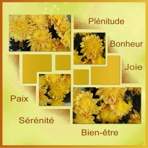 J - BONHEUR - PAIX.jpg