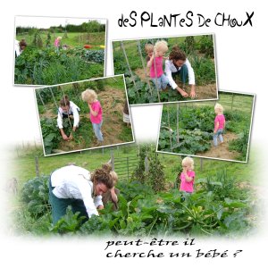 - 03 plante.jpg