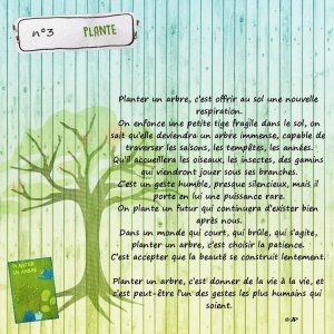 scraapboter 3 plante.jpg