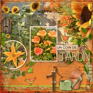 3-plantes.jpg