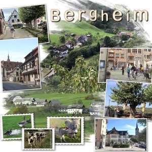 - 08 village.jpg