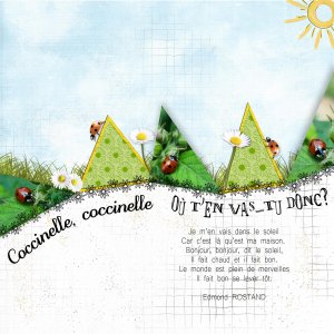 coccinelle poeme.jpg