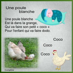 J-s370 - UNE POULE.jpg