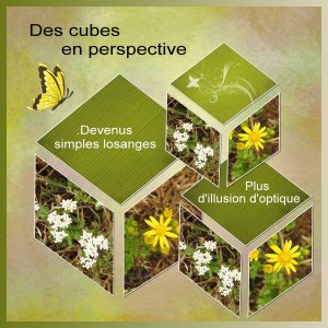 J-s378 - DES CUBES EN PERSPECTIVE.jpg