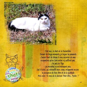 le chat de la durantière.jpg
