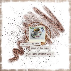 2026 tasse.jpg