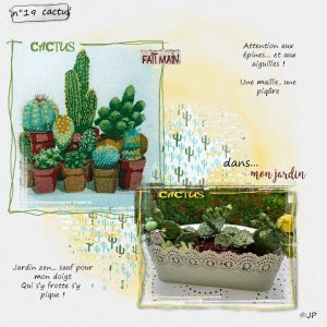 OCTOBER 19 cactus.jpg