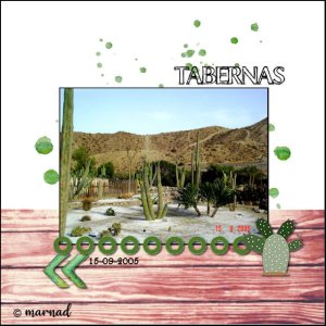 cactus